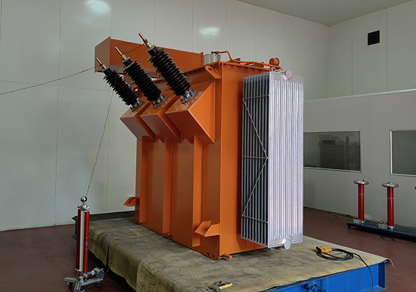 Locally manufactured 66 kV transformer