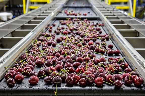 Advancing productivity in agriculture