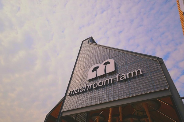 23629 External view of Mushroom Farm