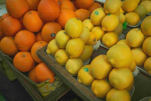 Supply chain industry body commends citrus export milestone