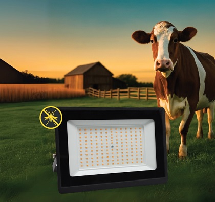 Bug free illumination with Radiant