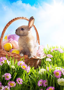 Easter fun facts