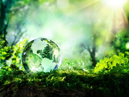 Greenest municipality in sa