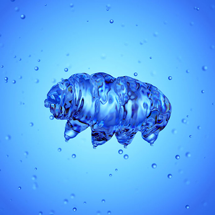 Tardigrades might offer the next big medical breakthrough